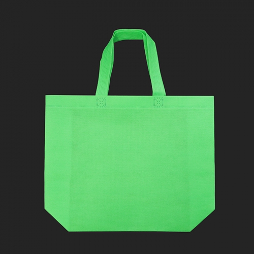 부직포 가방 (초록) 10개입