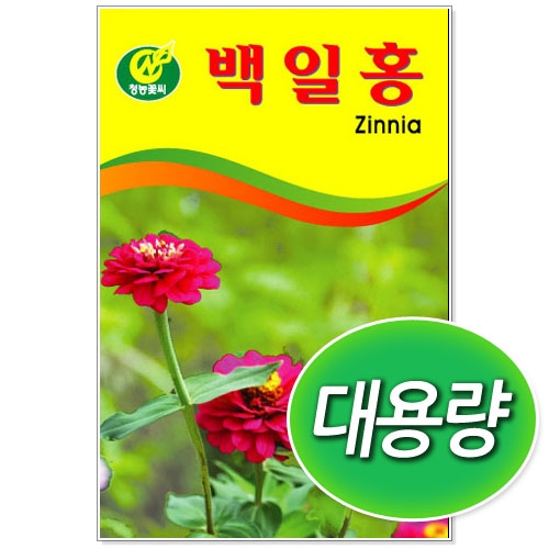 [CNS] ◆ 대용량 백일홍 100g/300g 꽃씨앗