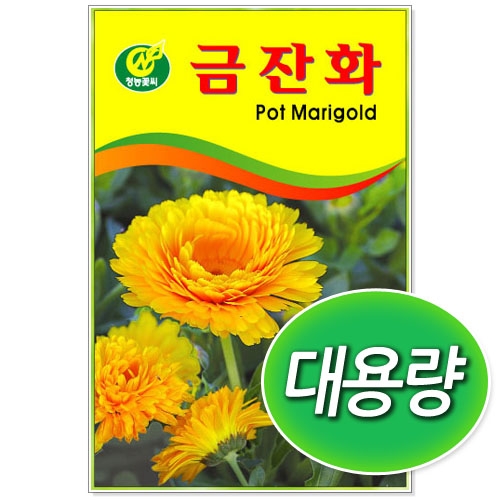 [CNS] ◆ 대용량 금잔화 100g/300g 꽃씨앗