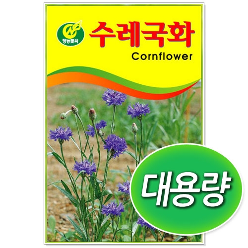 [CNS] ◆ 대용량 수레국화 100g/300g 꽃씨앗