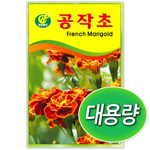 [CNS] ◆ 대용량 공작초 100g/300g 꽃씨앗