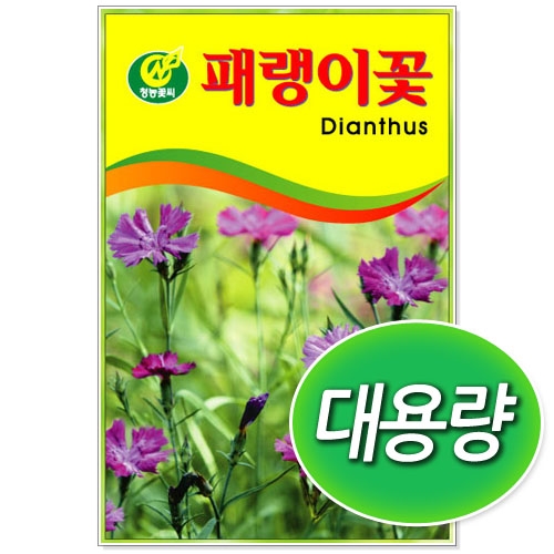 [CNS] ◆ 대용량 패랭이 100g/300g 꽃씨앗