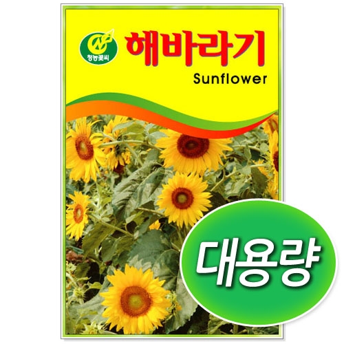 [CNS] ◆대용량 해바라기 100g/300g 꽃씨앗
