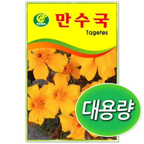 [CNS] ◆ 대용량 만수국 100g/300g 꽃씨앗