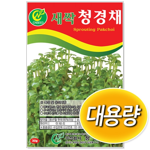[CNS] 대용량 새싹청경채 500g 1kg 새싹씨앗
