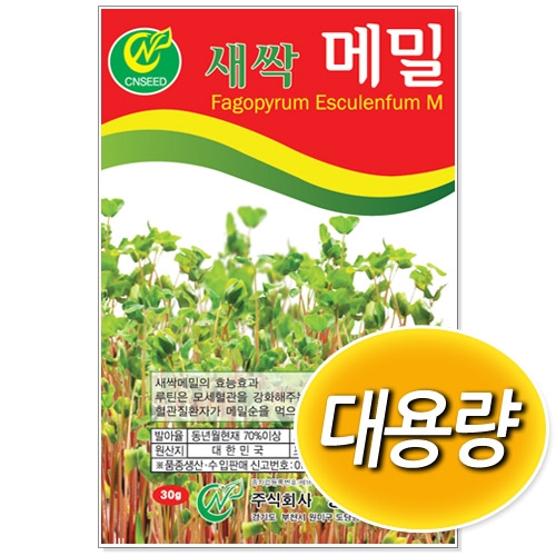 [CNS] 대용량 새싹메밀 500g/1kg 새싹씨앗
