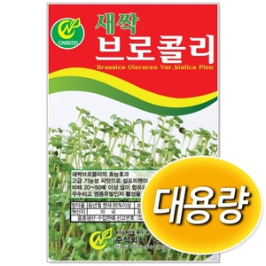 [CNS] 대용량 새싹브로콜리 500g/1kg 새싹씨앗