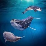 고래 만들기 3종 택1 - 혹등고래, 향유고래, 범고래