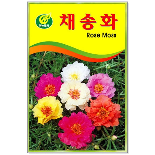 [CNS] ◆ 꽃씨 채송화 250립 (5개이상 주문)