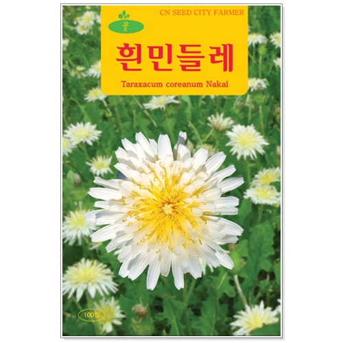 [CNS] ◆ 꽃씨 흰민들레 100립