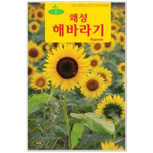 [CNS] ◆ 꽃씨 왜성해바라기 50립 - 키작은해바라기