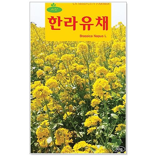 [CNS] 한라유채 30g 채소씨앗 꽃씨앗