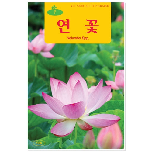 [CNS] ◆ 꽃씨 연꽃 10립