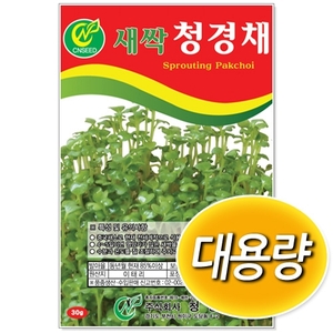 [CNS] 대용량 새싹청경채 500g 1kg 새싹씨앗